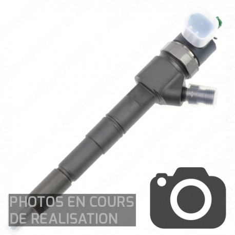 INJECTEUR DIESEL BOSCH 0445110258 0445110257 IMAGES